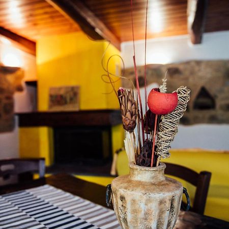 Agriturismo Il Noce Castiglione dʼOrcia Exteriör bild
